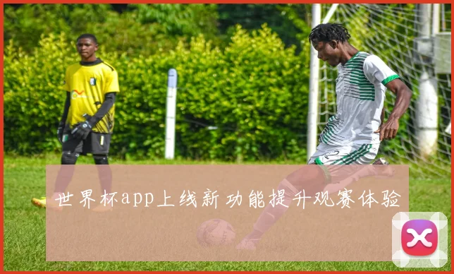世界杯app上线新功能提升观赛体验