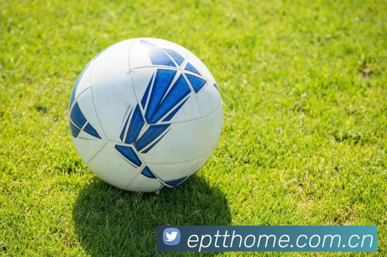 App Interface Preview